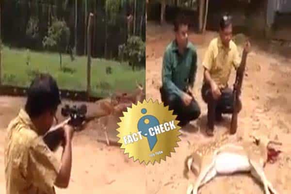 காங்கிரஸ் எம்எல்ஏ பூங்காவில் மான்களை வேட்டையாடுவதாக பரவும் வதந்தி வீடியோ !