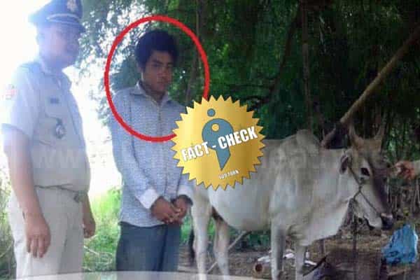ம.பியில் பாஜக இளைஞரணி தலைவர் பசுவை பாலியல் பலாத்காரம் செய்ததாக பரவும் வதந்தி !