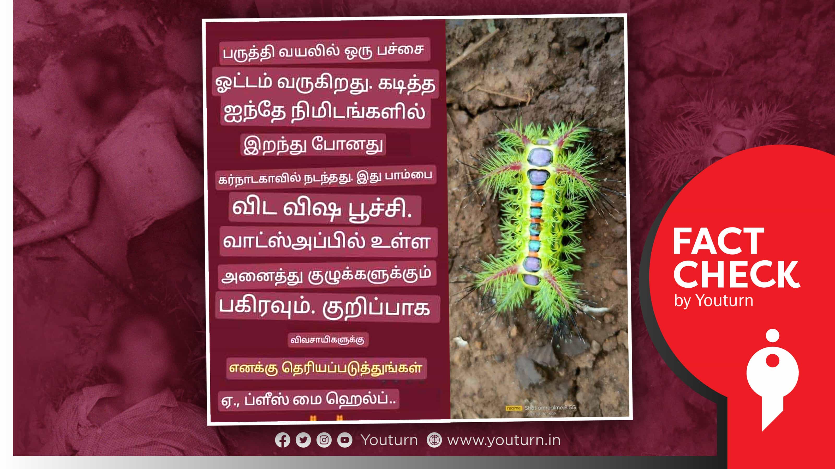 கர்நாடகாவில் விசப் பூச்சி கடித்து 5 நிமிடத்தில் விவசாயிகள் உயிரிழப்பு எனப் பரவும் வாட்ஸ்அப் வதந்தி !