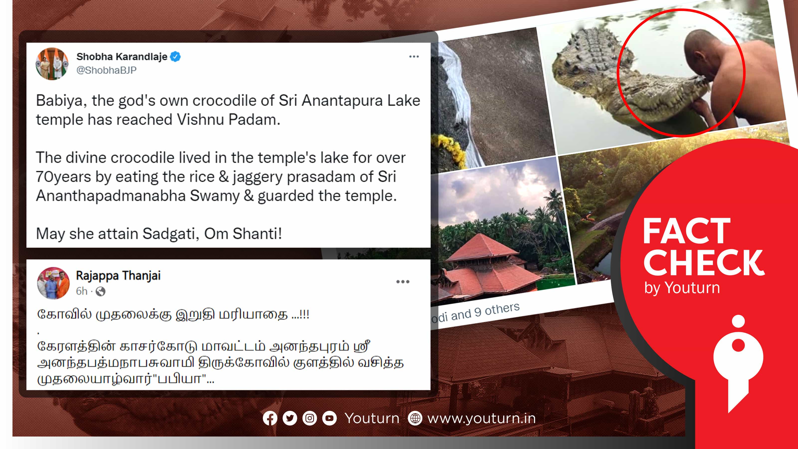 கேரளாவில் இறந்த பபியா முதலை என ஒன்றிய இணை அமைச்சர் பதிவிட்ட தவறான புகைப்படம் !