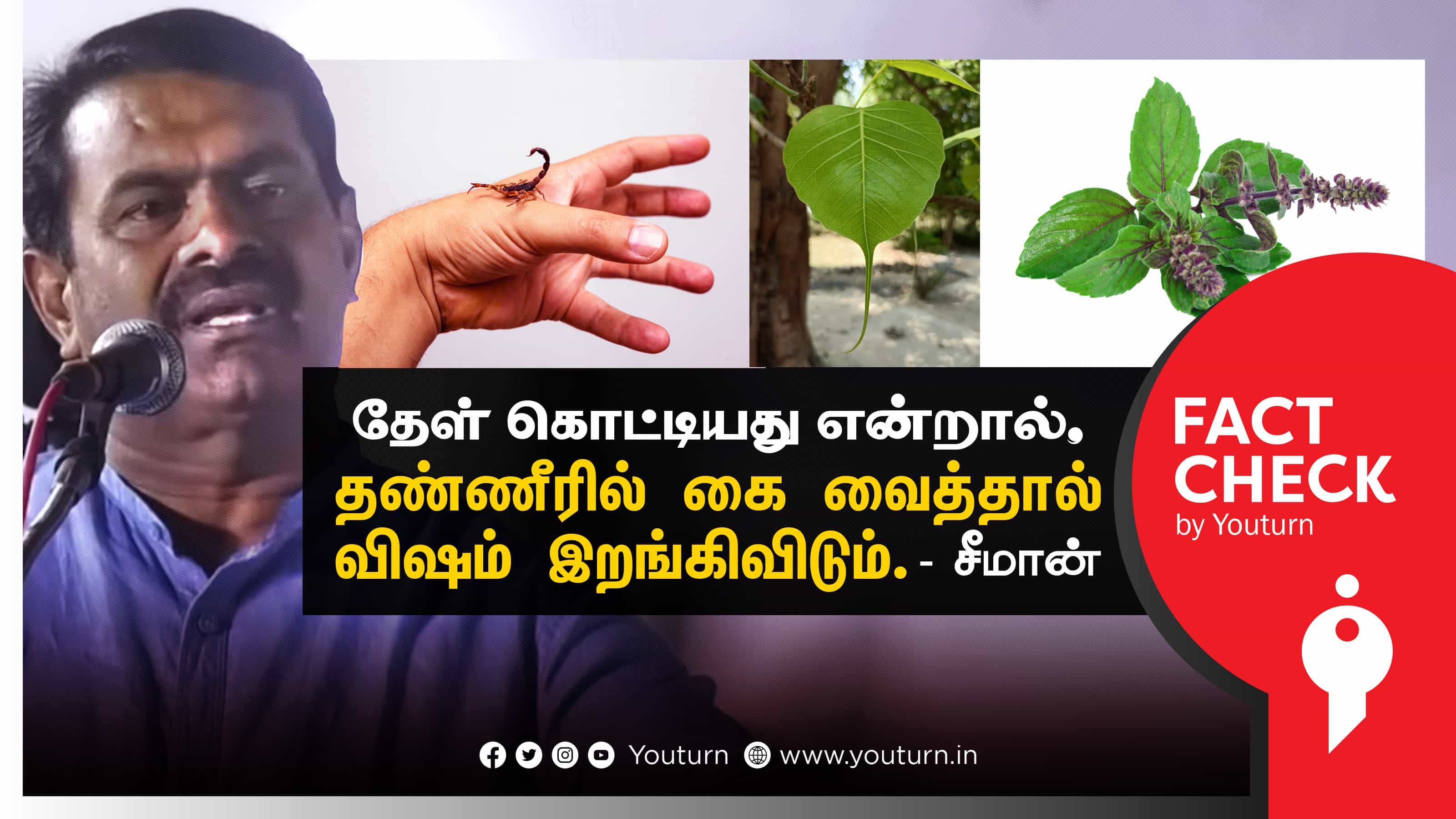 தேள் கடித்த உடன் தண்ணீரில் கை வைத்தால் விஷம் இறங்கிவிடுமா ?