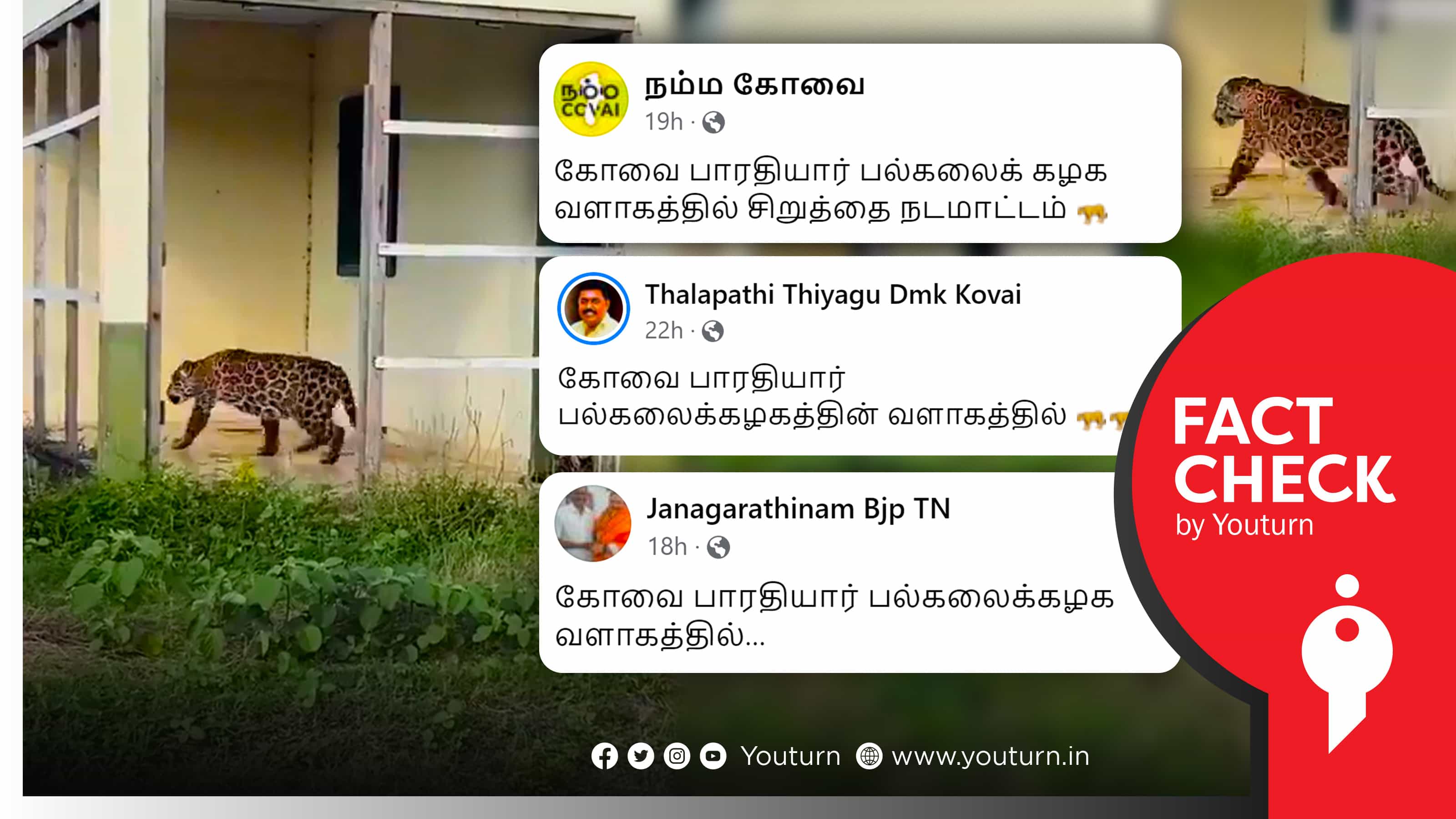 கோவை பாரதியார் பல்கலைக்கழகத்தில் சிறுத்தைகள் நுழைந்ததாகப் பரவும் வதந்தி வீடியோ!