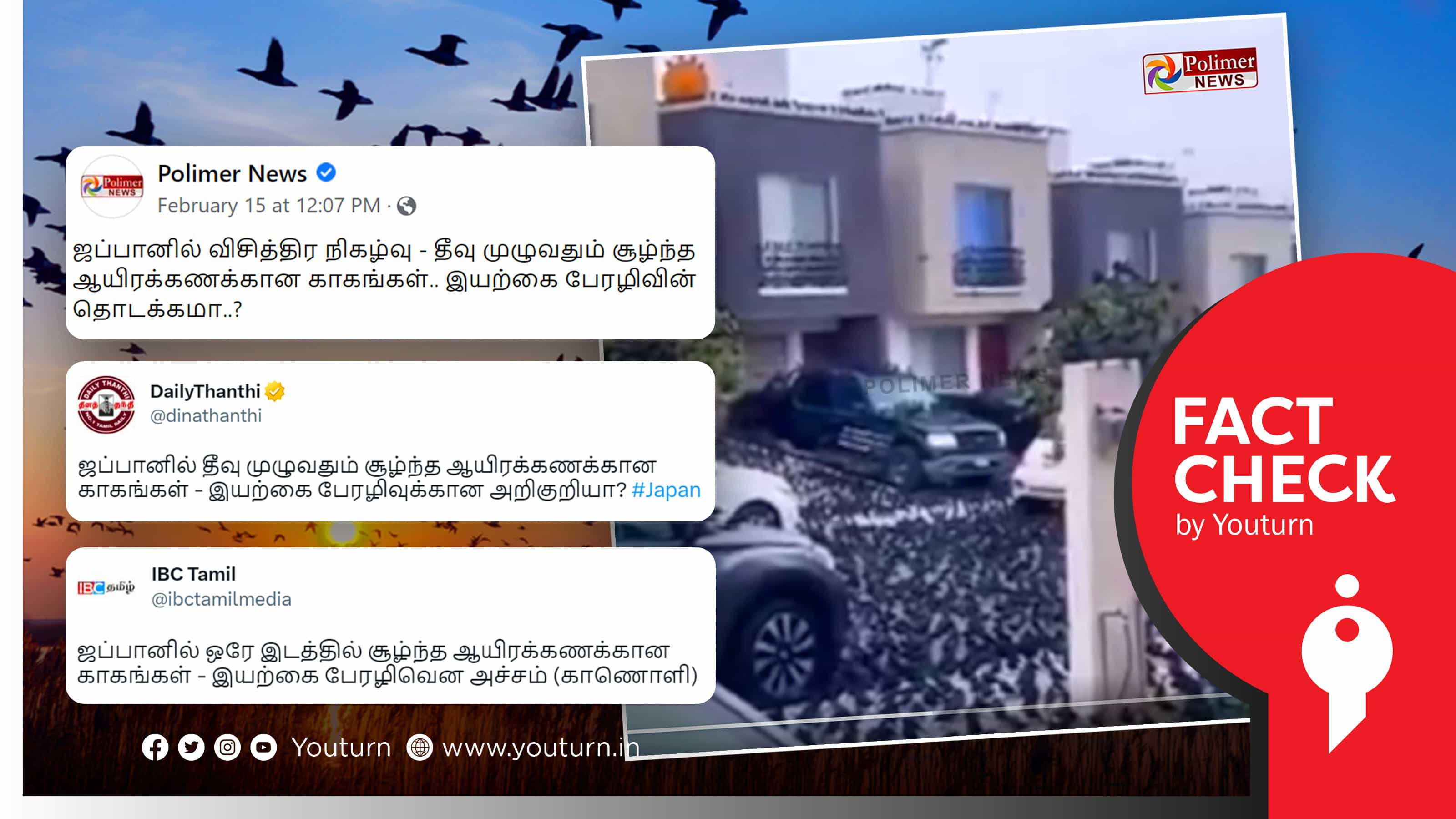 ஜப்பான் தீவில் ஆயிரக்கணக்கில் காகங்கள் சூழ்ந்ததாக தவறான தகவலை பரப்பிய பாலிமர், தினத்தந்தி !