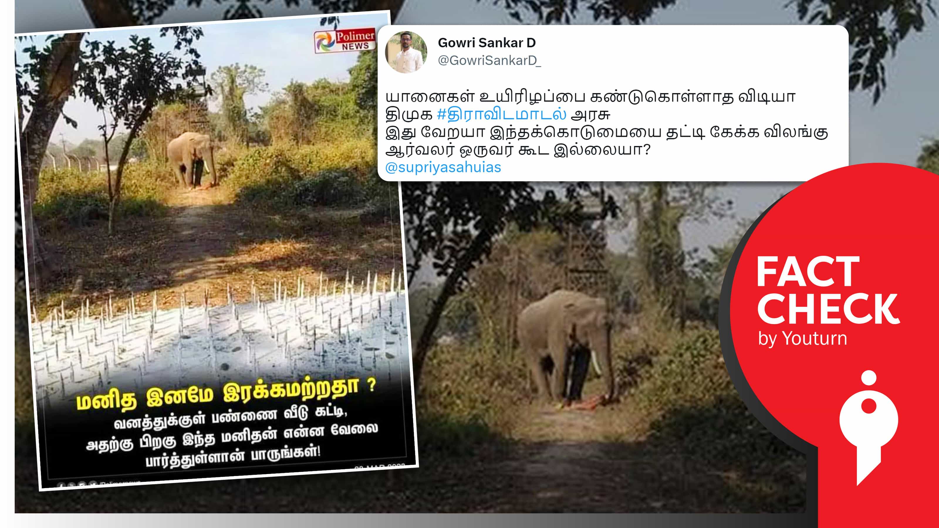 யானை வழித்தடத்தில் இரும்பு ஆணி தடை.. தமிழ்நாடு எனத் தவறாகப் பரப்பப்படும் அசாம் புகைப்படம் !