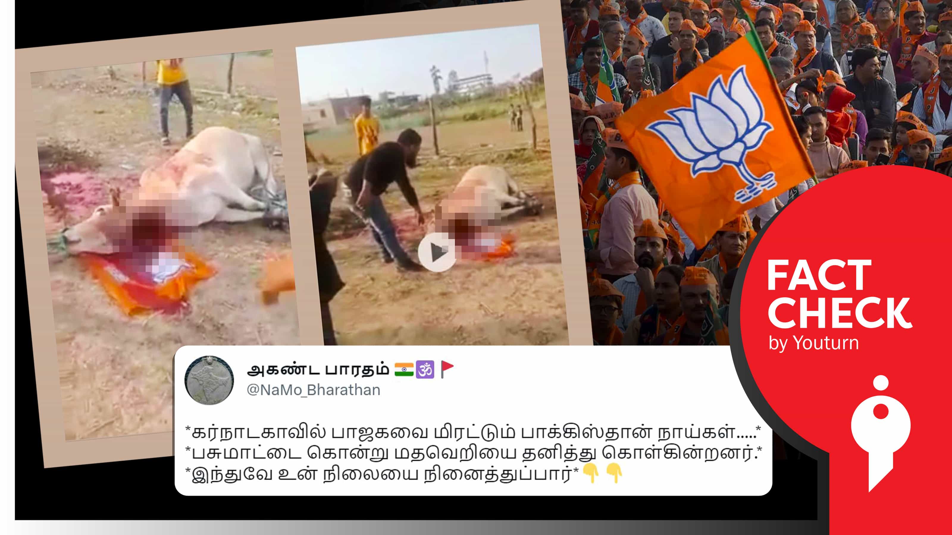 கர்நாடகாவில் பசு மாட்டைக் கொல்வதாகப் பரப்பப்படும் மணிப்பூரின் பழைய வீடியோ !