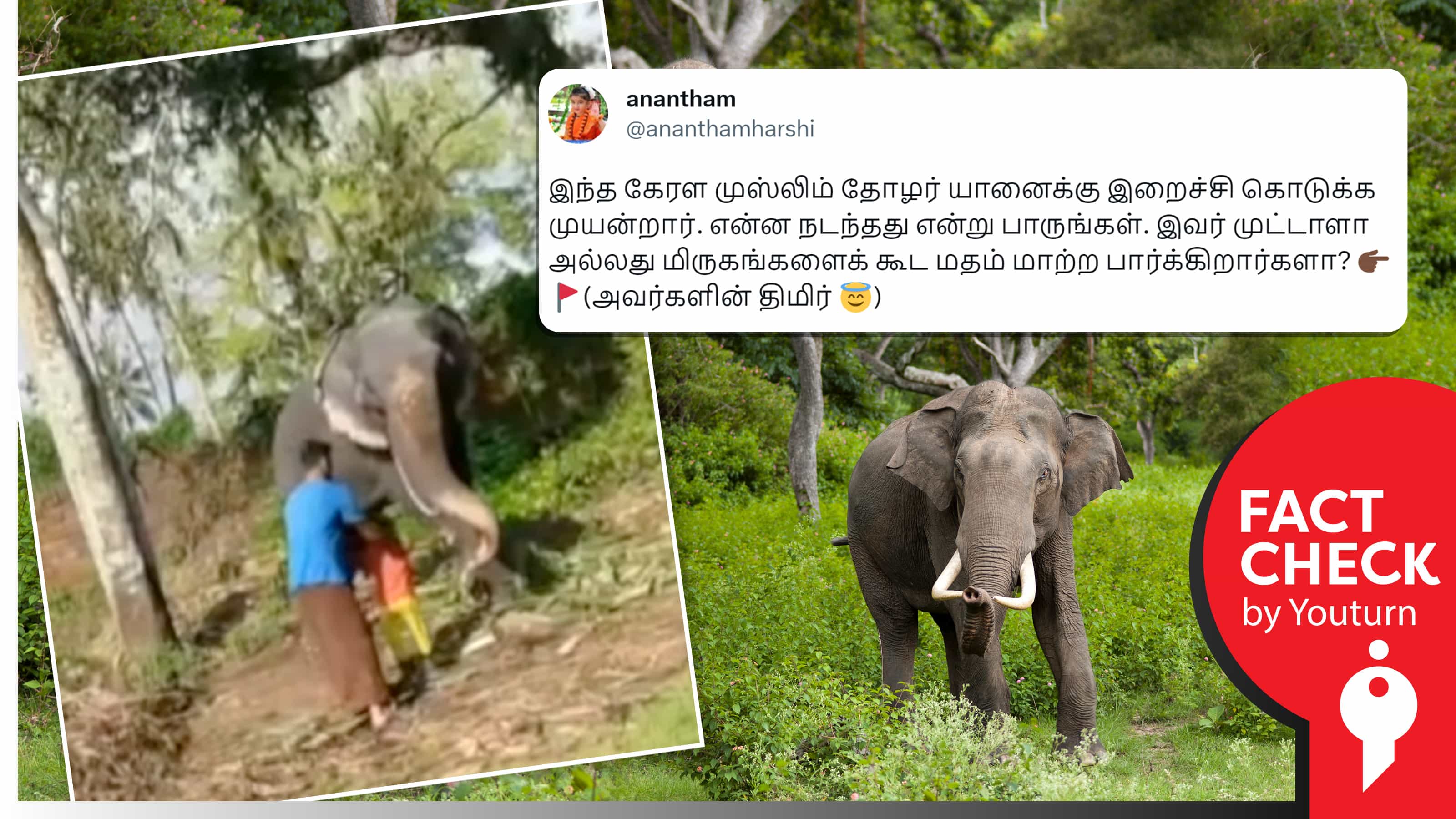 கேரளாவில் முஸ்லீம் நபர் யானைக்கு இறைச்சி கொடுத்ததாக பரப்பப்படும் வதந்தி வீடியோ!