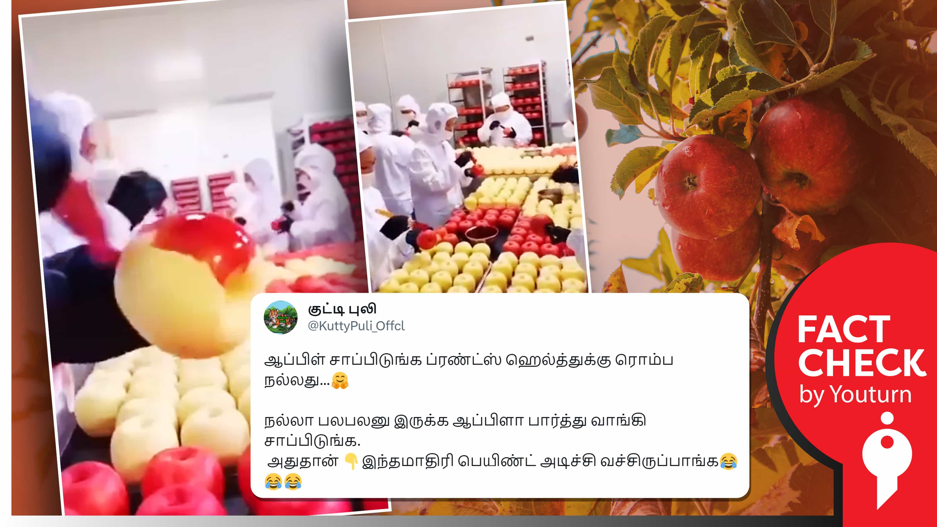 ஆப்பிள் பளபளப்பாக இருக்க பெயிண்ட் அடிப்பதாக தவறாகப் பரவும் சாக்லேட் தயாரிப்பு வீடியோ !