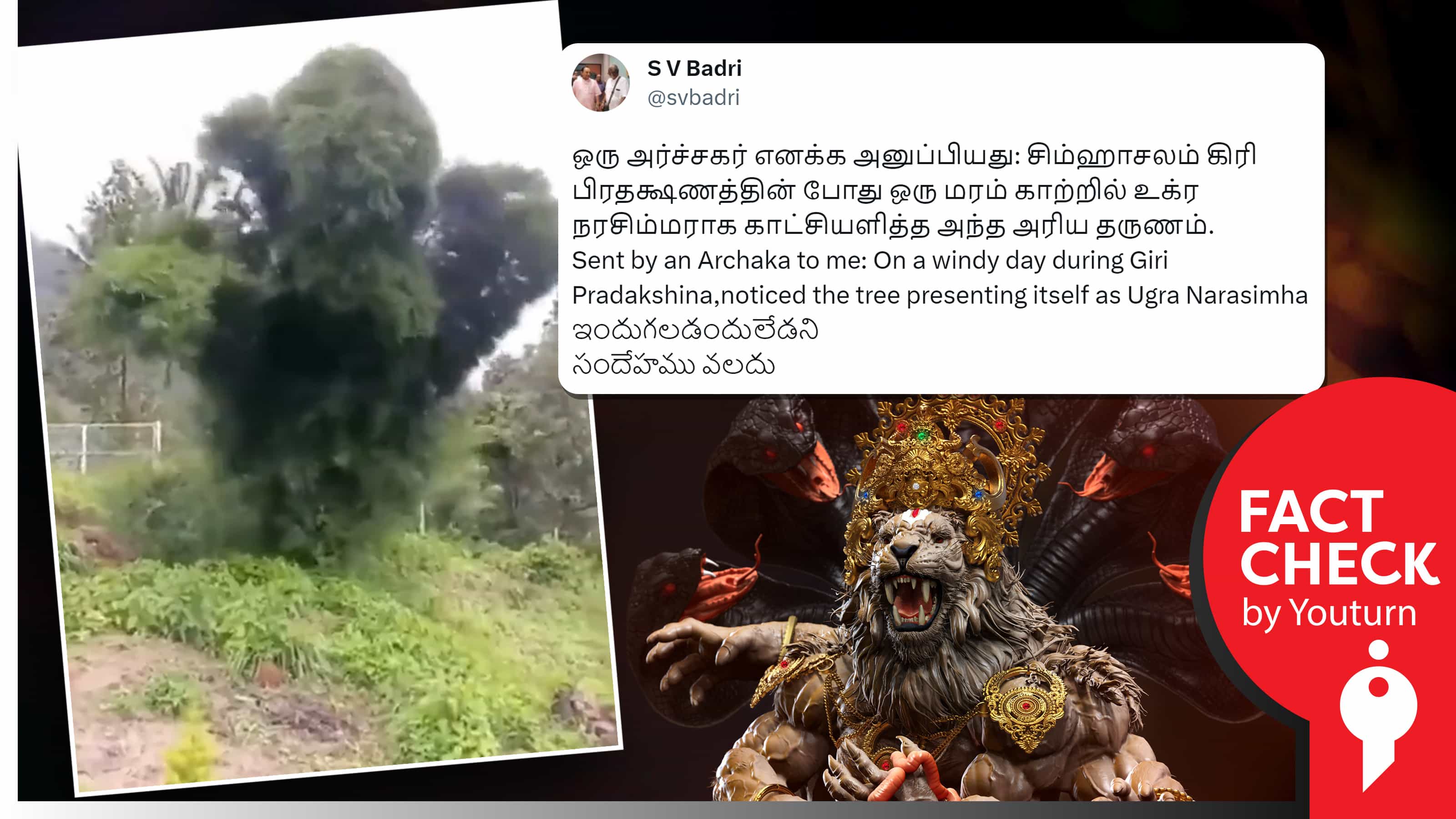 ஆந்திராவில் கிரிவலத்தின் போது காற்றில் உக்ர நரசிம்மராக காட்சியளித்த மரம் எனப் பரவும் வதந்திகள் !