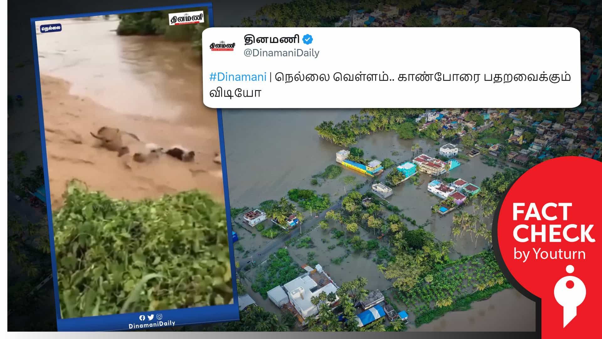 திருநெல்வேலி வெள்ளத்தில் மாடுகள் அடித்துச் செல்லப்படும் காட்சி என தினமணி வெளியிட்ட மெக்சிகோ வீடியோ