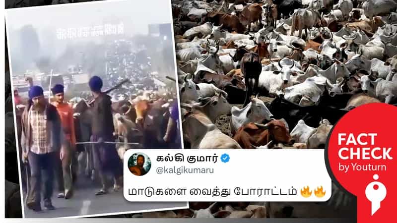மாடுகளை வைத்து விவசாயிகள் போராட்டம் நடத்துவதாக தவறாகப் பரவும் பழைய வீடியோ !