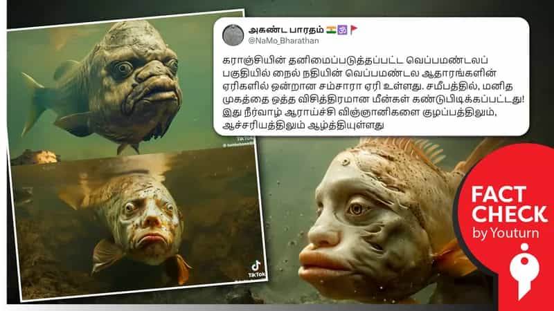 கராஞ்சியின் சம்சாரா ஏரியில் மனித முக வடிவில் மீன்கள் உள்ளதாகப் பரவும் AI வீடியோ !
