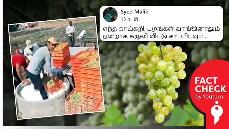 சந்தைக்கு வரும் திராட்சை மீது இரசாயனம் பூசப்படுவதாகப் பரவும் வீடியோ! உண்மை என்ன?