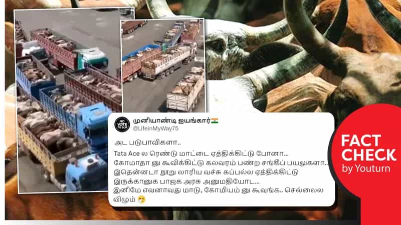 இந்தியாவிலிருந்து ஏற்றுமதி செய்யப்படும் பசு மாடுகள் எனப் பரவும் தவறான வீடியோ!