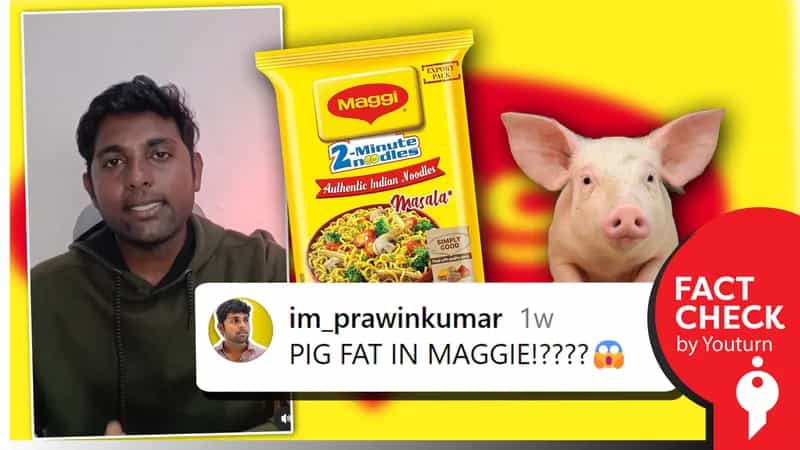 மேகி நூடுல்ஸில் பன்றி கொழுப்பு கலக்கப்பட்டுள்ளதாகப் பரவும் வதந்திகள்!