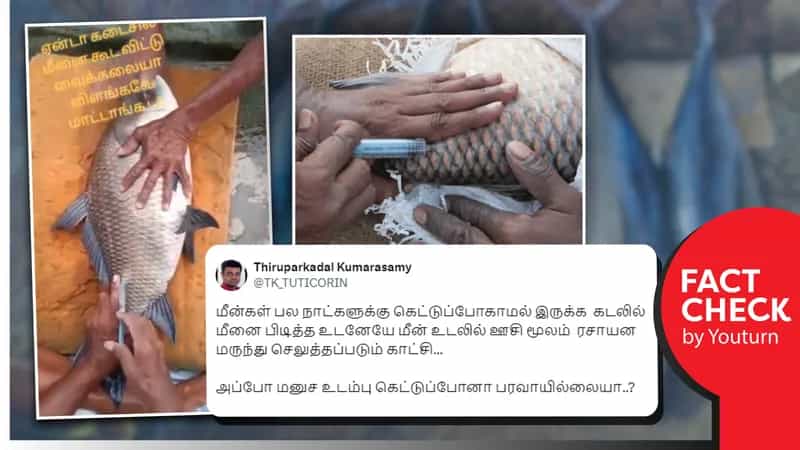 மீன்கள் கெட்டுப்போகாமல் இருக்க ஊசி செலுத்தப்படுவதாகப் பரவும் வதந்தி!